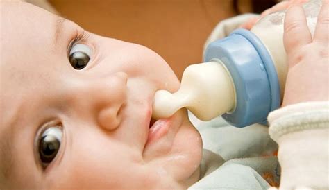 نحوه از شیر گرفتن بچه مهین فال