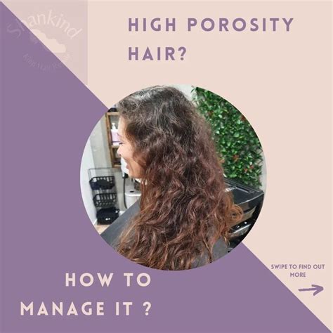 Everything You Need To Know About High Porosity Hair In 2022 High