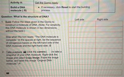 Gizmo building dna answer key pdf. Gizmo Building Dna Answer Key - Gizmo Building Dna Answer ...