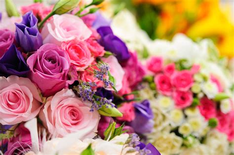 Here you can find different types of flower pictures, among them red flowers, white flowers, rose flowers, spring flowers, flower wallpapers and other flower images. Valentine's Day Bouquet - Which Flowers To Give & Flowers ...