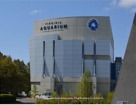 The Virginia Aquarium And Marine Science Center Top Ten Travel Blog