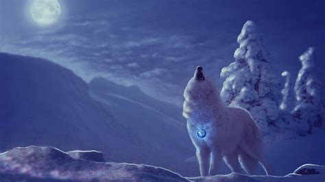 Фотография волк Зима Фантастика снегу луной в ночи 2560x1440