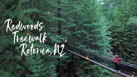 Experience The Redwoods Treewalk Rotorua New Zealand Youtube