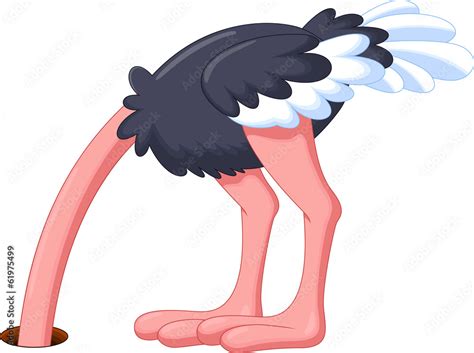 Ostrich Hiding Its Head Vector De Stock Adobe Stock