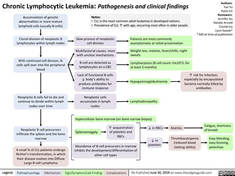 Chronic Lymphocytic Leukemia Calgary Guide