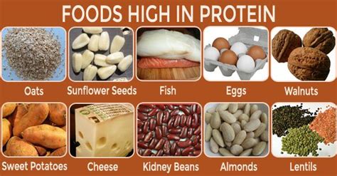 Check need for protein protein rich food: 7 Signs Of Protein Deficiency Plus 10 Naturally Protein ...