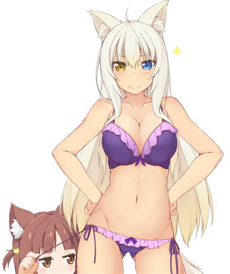 Azuki Coconut Nekopara Vn Nekopara Neko Works