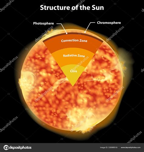 Diagrama Que Muestra La Estructura Del Sol Vector Gráfico Vectorial