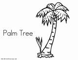 Tree Coloring Palm Simple Printable Adults Bettercoloring sketch template