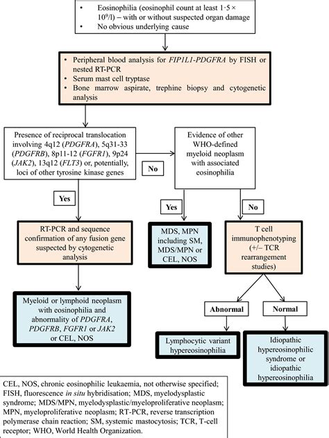 Guideline For The Investigation And Management Of Eosinophilia Butt