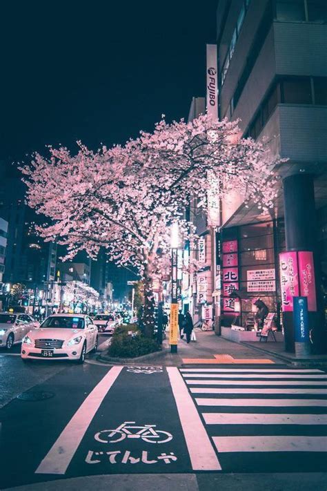 20 Best City Breaks In The World Aesthetic Japan Japan Photography