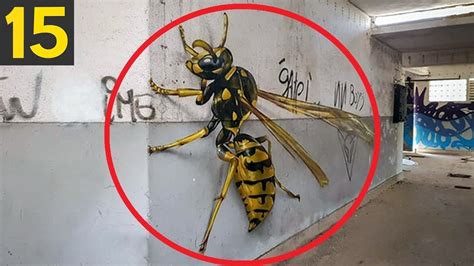 15 Giant Insects That Can Kill Youtube
