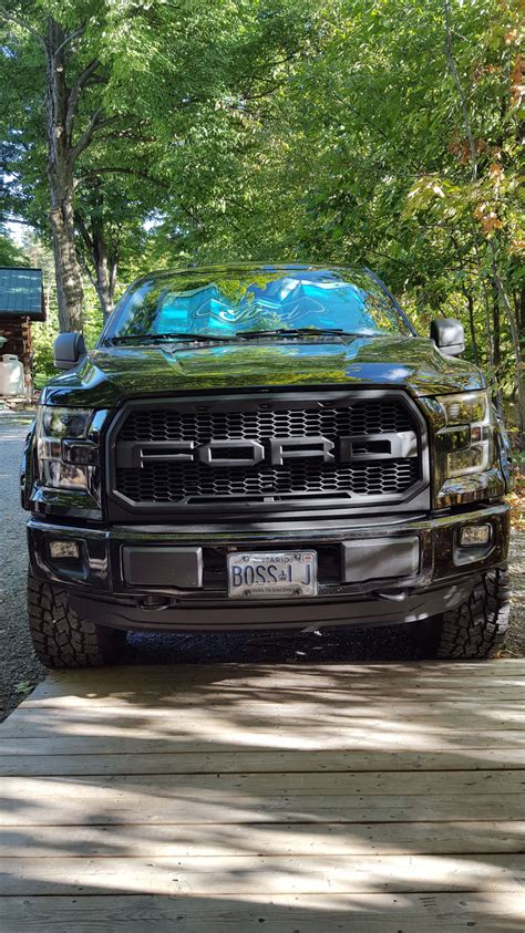 Grill Options Raptor Style Grill Page 114 Ford F150 Forum