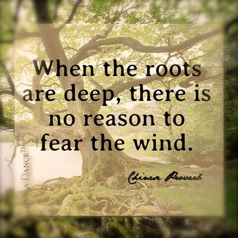 When The Roots Are Deep There Is No Need To Fear The Wind Roots