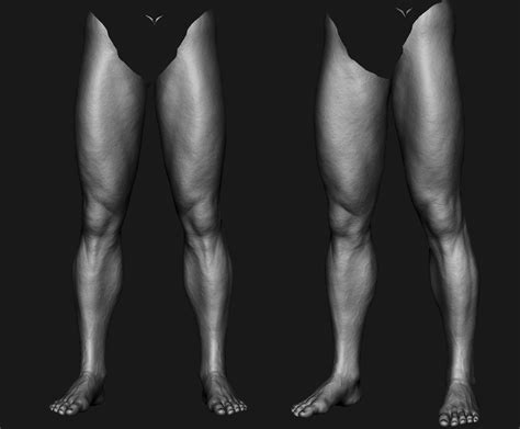 Artstation Leg Zbrush Andrey Gritsuk Leg Anatomy Body Anatomy Anatomy Reference