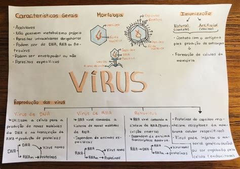 Mapas Mentais Sobre VÍrus Study Maps Mapa Mental Terminologias De