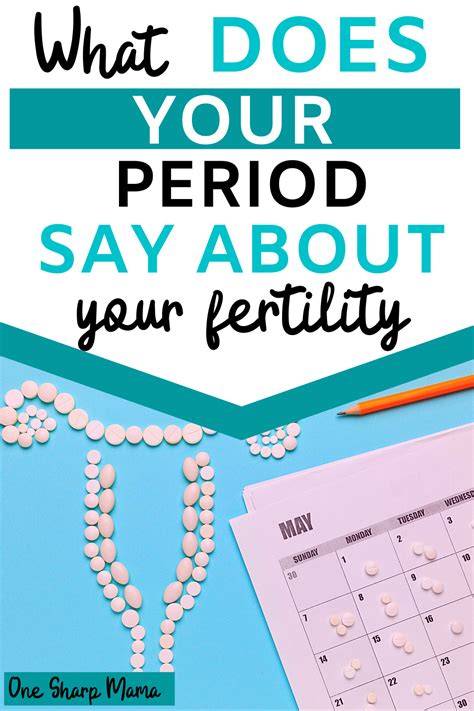 Understanding Your Cycle And Calculating Your Fertile Window One Sharp Mama Fertility How