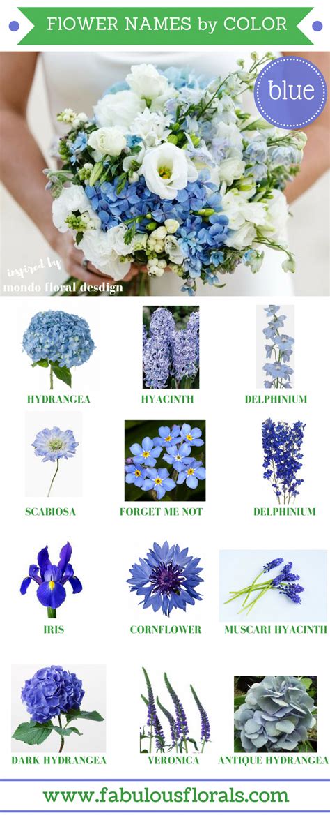 For me, 9/11 is inseparable from flowers. FLOWER NAMES BY COLOR! 2017 wedding trends! . Your #1 ...