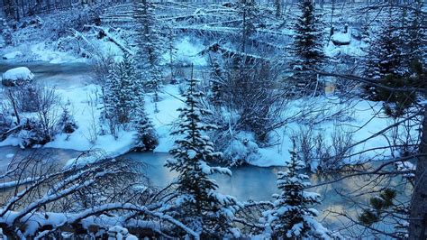 Stunning Winter Scenery While Hiking In The Beartooth Wilderness In