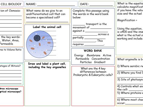 Module B1 Cell Biology Revision Mat And Ppt Teaching Resources