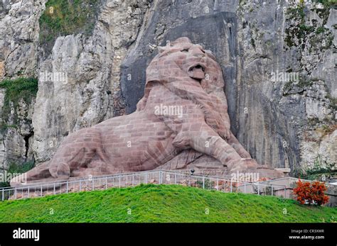Lion De Belfort Lion Sculpture Monument Citadelle Forteresse Belfort Franche Comté France