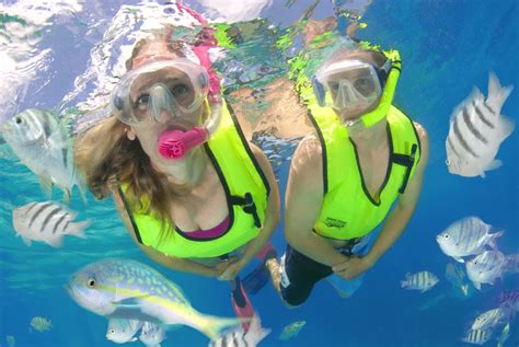 Nassau Ultimate Snorkeling Bahamas Jamaica Cruise Excursions