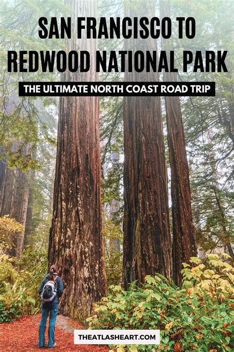 San Francisco To Redwood National Park In 2022 Redwood National Park