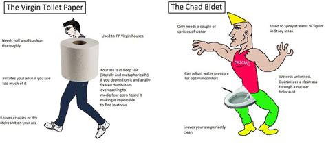 The Virgin Toilet Paper Vs The Chad Bidet Rvirginvschad
