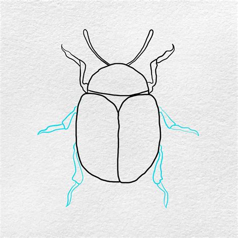 Beetle Drawing Helloartsy