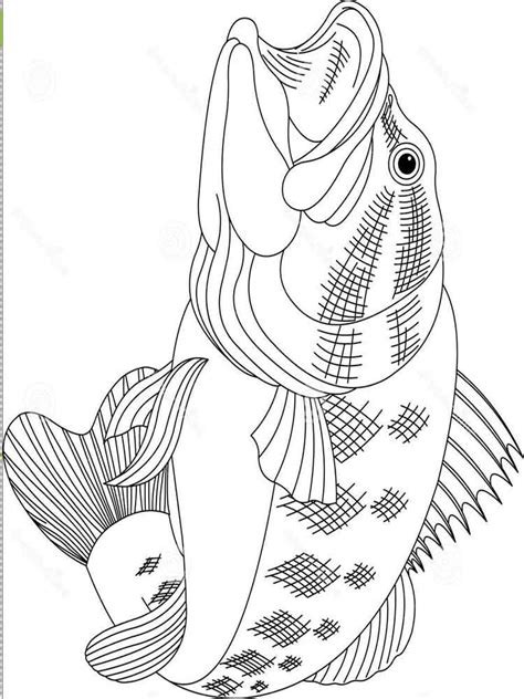 Free printable bass fish coloring pages. Bass fish coloring pages. Download and print Bass fish ...