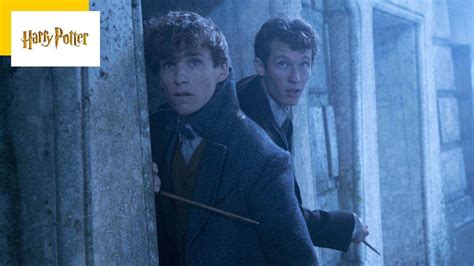 2023 Fantastic Beasts 3 What Future For The Harry Potter Saga After