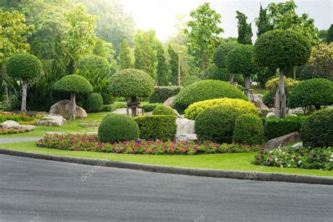 Gardening And Landscaping With Decorative Trees — Stock Photo