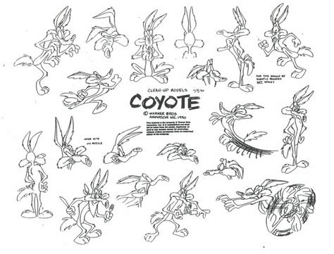 Wile E Coyote Model Sheet Ver 3 Easy Cartoon Drawings Character