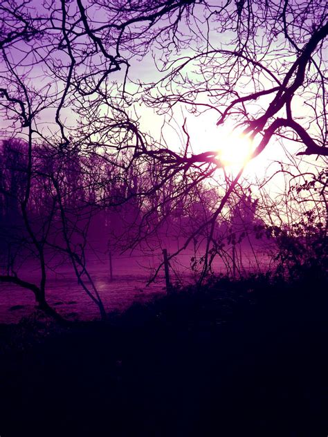 Purple Mist By Tessann On Deviantart