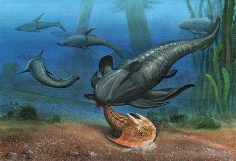 Devonian Period Climate Animals And Plants Paleontology World