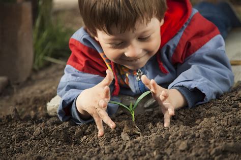 Planting A Seed Of Health In Your Child Kiddipedia