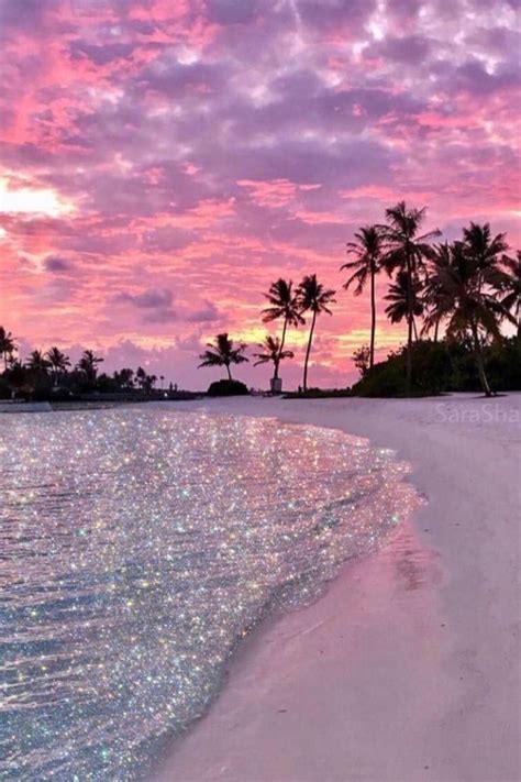 Enjoy The Palm Life Usapalm Com Sunset Wallpaper Sky Aesthetic Beach Wallpaper