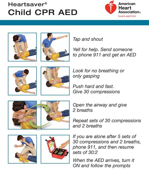 Child Cpr Child Cpr Cpr Training Toddler Cpr