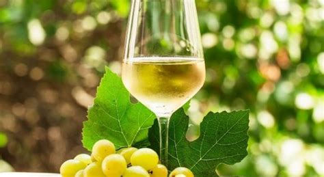 What Is A Dry White Wine Complete Guide