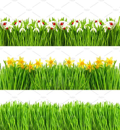 Spring Flowers Floral Banner High Quality Holiday Stock Photos