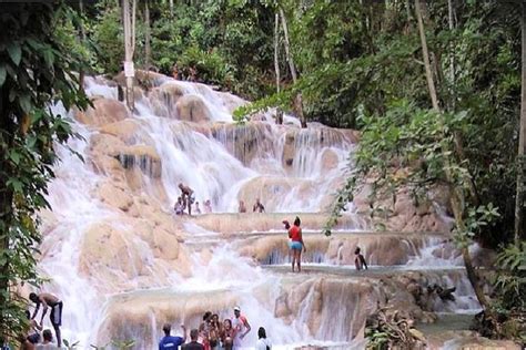 Montego Bay To Dunns River Falls Half Day Trip Compare Price 2023