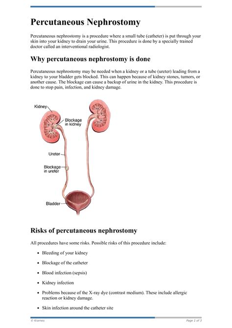 Text Percutaneous Nephrostomy Healthclips Online