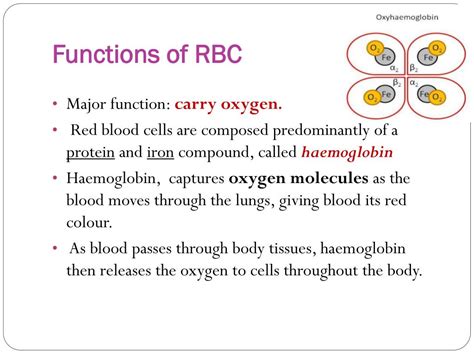 Ppt Biology I Blood Powerpoint Presentation Free Download Id2334437