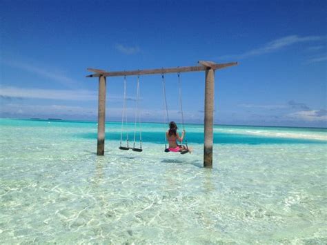 Coolest Swing Ever Picture Of Anantara Veli Resort And Spa Veligandu