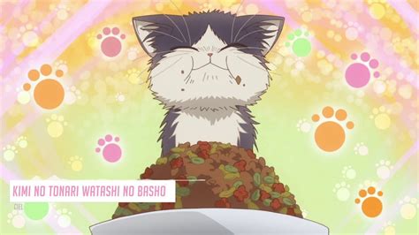 My Roommate Is A Cat Ed Kimi No Tonari Watashi No Basho Cover Youtube