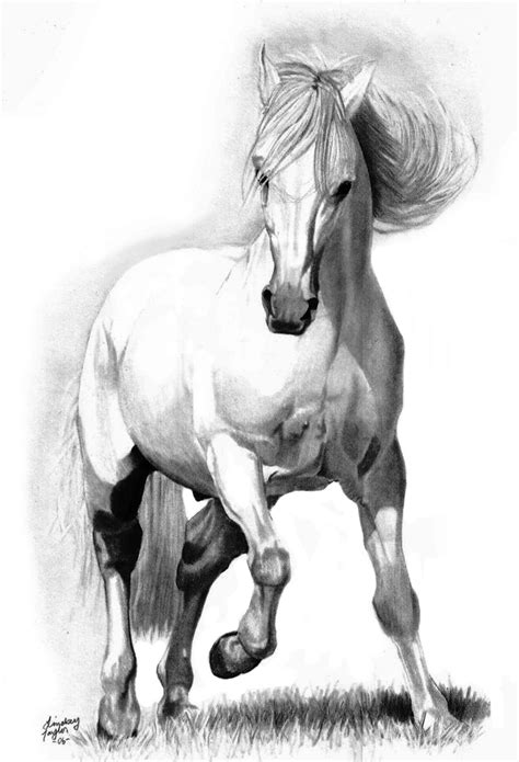 Pin By Mercedes Yrayzoz On Equidae Horse Art Drawing Horse Drawings