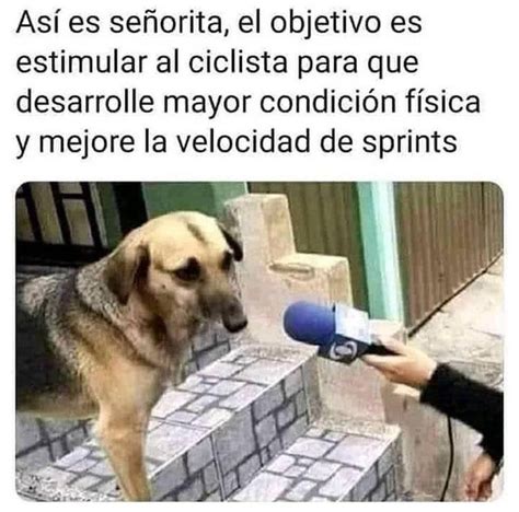 Memes De Hoy Memexico