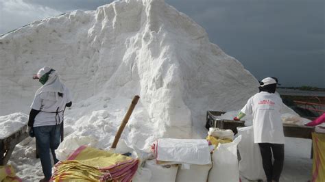 Visiting A Salt Farm For The First Time The Wandering Juan