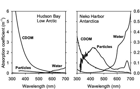 2 Cdom Influence In North Versus South High Latitude Seas On