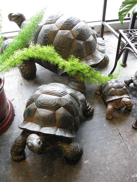 Resin Turtle 3 Sizes Available Esculturas